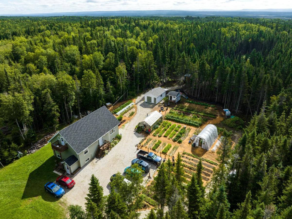Upper Humber Settlement A Farmstay B&B Cormack Exterior foto